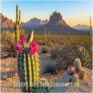 Desert Bird Seed Consumption