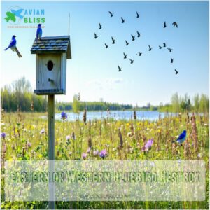 Eastern or Western Bluebird Nestbox