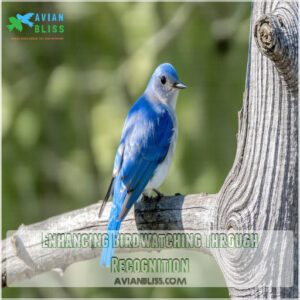 Enhancing Birdwatching Through Recognition