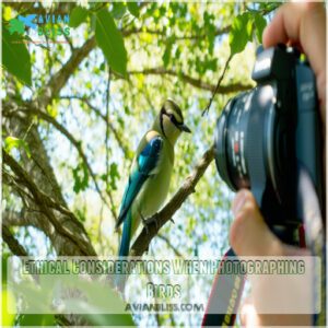 Ethical Considerations When Photographing Birds