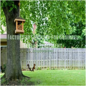 Factors to Consider for Squirrel Feeder Placement