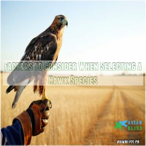 Factors to Consider When Selecting a Hawk Species