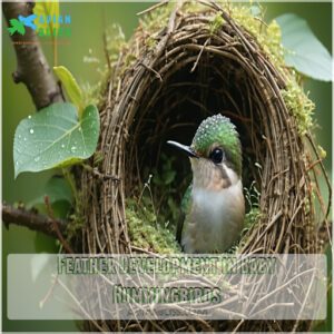 Feather Development in Baby Hummingbirds