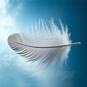 Feather Structure Basics