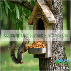 Feeding Dried Mealworms to Squirrels