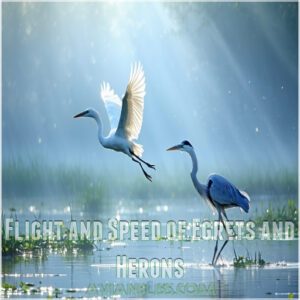 Flight and Speed of Egrets and Herons