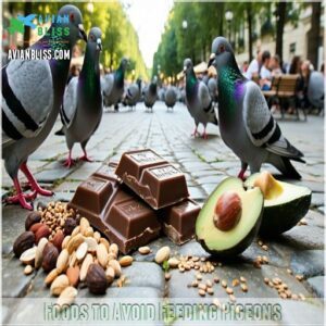 Foods to Avoid Feeding Pigeons