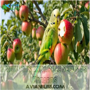 Fruit Pits and Apple Seeds as Hazards