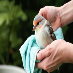 Gentle Towel Drying Methods