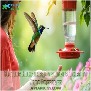 Getting Hummingbirds Accustomed to Your Presence