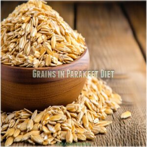 Grains in Parakeet Diet