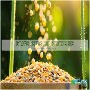 Grass Seeds for Parakeets