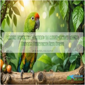 green cheeked conure