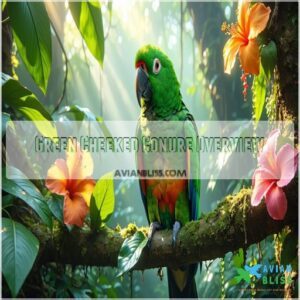 Green Cheeked Conure Overview