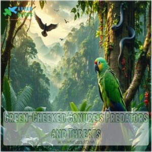 Green-Cheeked Conure’s Predators and Threats