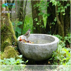 Ground Bird Bath Options