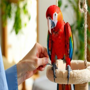 Handling Bird Reactions and Stress