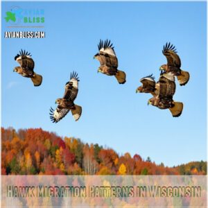 Hawk Migration Patterns in Wisconsin