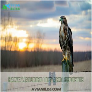 Hawk Watching Tips and Etiquette