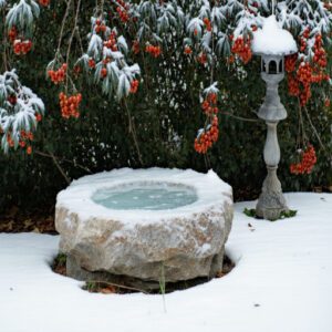 Heated Bird Baths