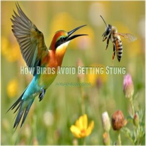 How Birds Avoid Getting Stung