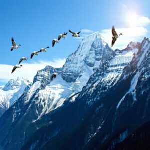 How Different Bird Groups Handle High Altitudes