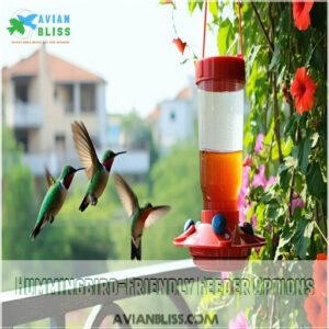 Hummingbird-Friendly Feeder Options