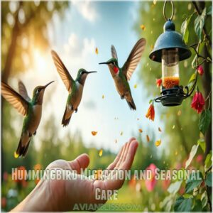 Hummingbird Migration and Seasonal Care