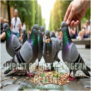 Impact of Diet on Pigeon Health