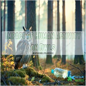 Impact of Human Activity on Owls