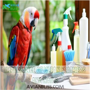 Importance of Clean Feathers and Nails