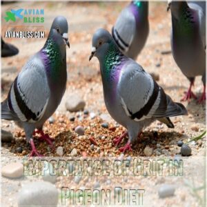 Importance of Grit in Pigeon Diet