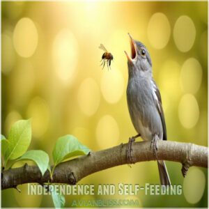 Independence and Self-Feeding