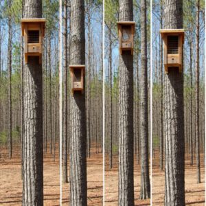 Installing Nesting Boxes