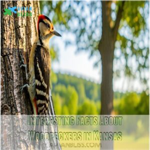 Interesting Facts About Woodpeckers in Kansas