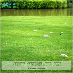 Keeping Geese Off Your Lawn