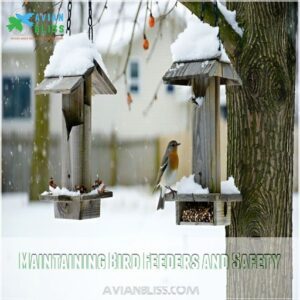 Maintaining Bird Feeders and Safety