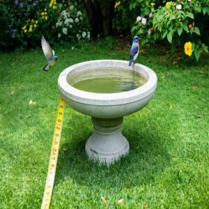 Measuring Birdbath Base