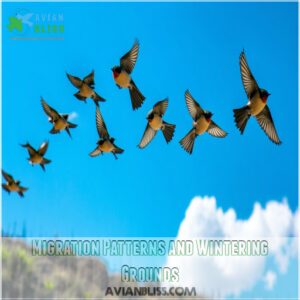 Migration Patterns and Wintering Grounds