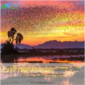 National Parks and Wildlife Refuges With Starling Murmurations