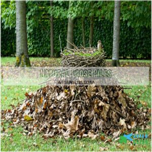 Natural Loose Piles