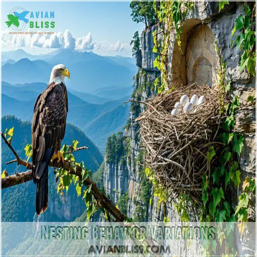 Bird Nesting Habits: Nature's Secret Survival Strategy Revealed!
