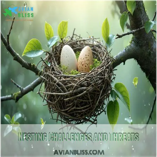 Bird Nesting Habits: Nature's Secret Survival Strategy Revealed!