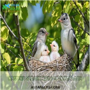 Nesting Season and Parental Care