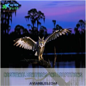 Nocturnal Behaviors and Adaptations