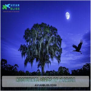 Nocturnal Birds of Florida