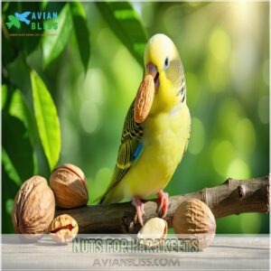 Nuts for Parakeets