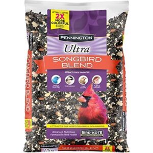 Pennington Ultra Songbird Blend Bird