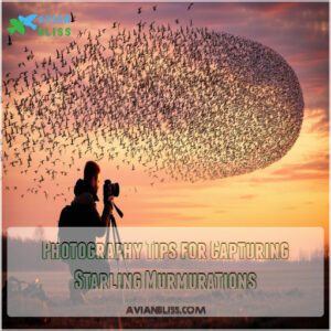 Photography Tips for Capturing Starling Murmurations