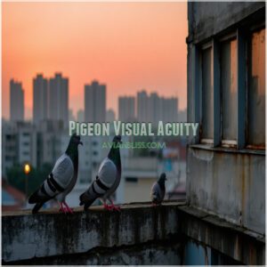 Pigeon Visual Acuity